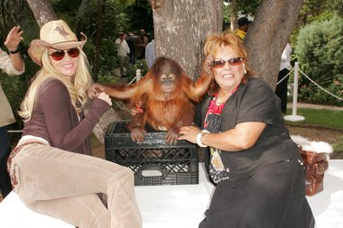 11 yıllık yabani hayvanlar ve bitkiler waystation safari brunch yarar