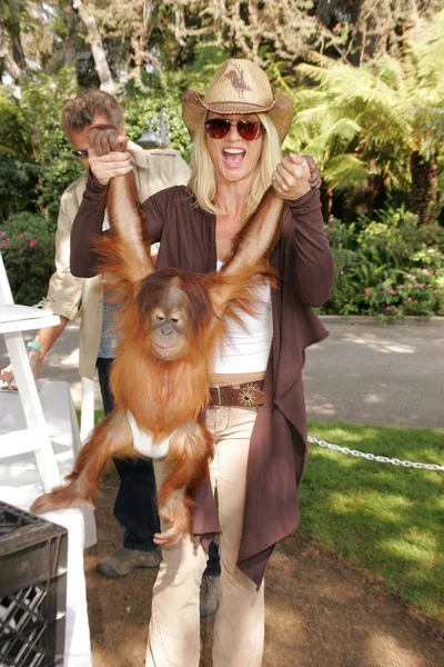 11 yıllık yabani hayvanlar ve bitkiler waystation safari brunch yarar