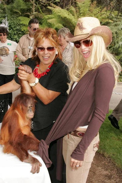 11 yıllık yabani hayvanlar ve bitkiler waystation safari brunch yarar