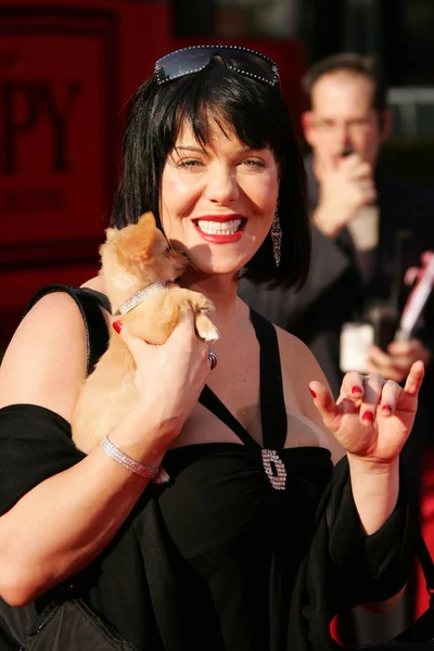 13 yıllık espy Ödülleri - geliş