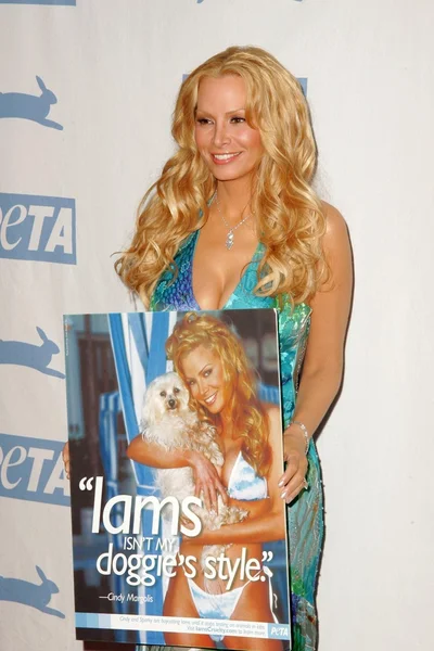 Cindy Margolis — Stockfoto