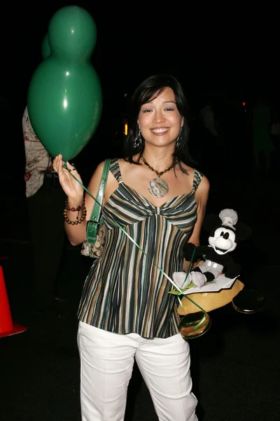 Disneyland 50 koleksiyonu