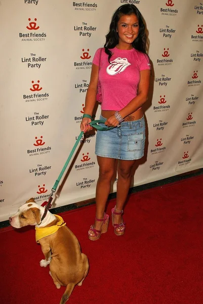 2005 yıllık tüysüz paten partisi