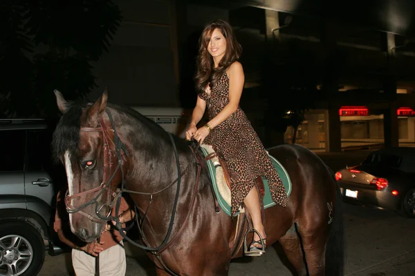 Kerri Kasem Arrives at the In Touch Pets and their Stars Party — Stock Photo, Image