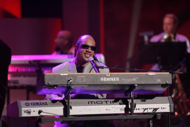 Stevie Wonder