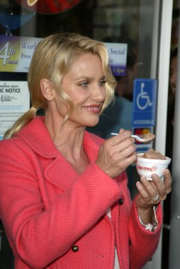 Soğuk taş süthane'nın dondurma pasta sosyal