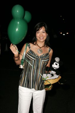 Disneyland 50 koleksiyonu