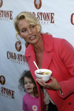 Soğuk taş süthane'nın dondurma pasta sosyal