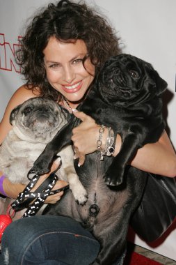 Evcil hayvanlar ve onların yıldız bağlantıda sunar