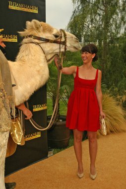 Jennifer Love Hewitt