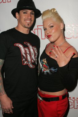 Evcil hayvanlar ve onların yıldız bağlantıda sunar