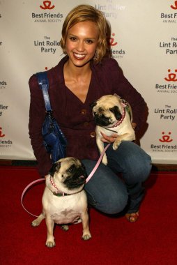 2005 yıllık tüysüz paten partisi