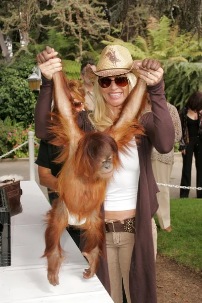 11 yıllık yabani hayvanlar ve bitkiler waystation safari brunch yarar