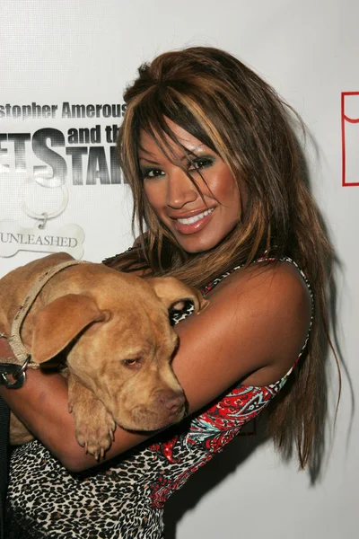 Traci Bingham — Fotografia de Stock