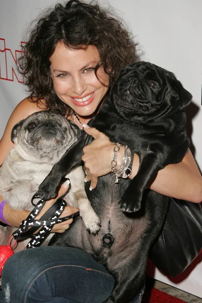 Evcil hayvanlar ve onların yıldız bağlantıda sunar