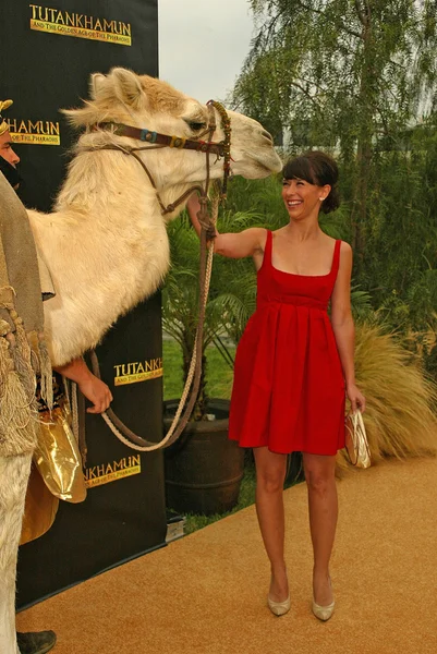 Jennifer Love Hewitt