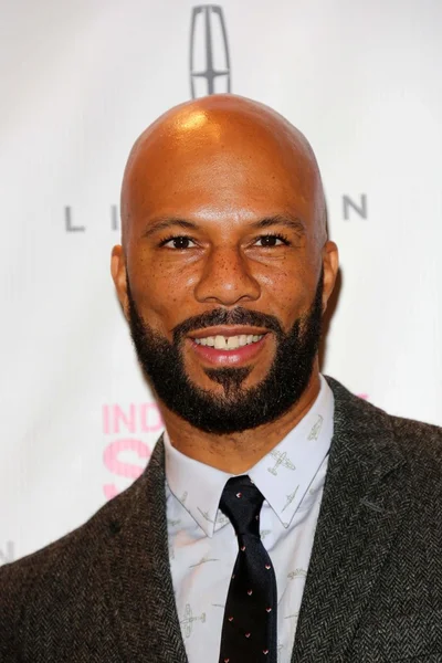 Common at the 2013 Film Independent Spirit Awards Nominations, W Hotel, Hollywood, CA 11-27-12 — Stok fotoğraf