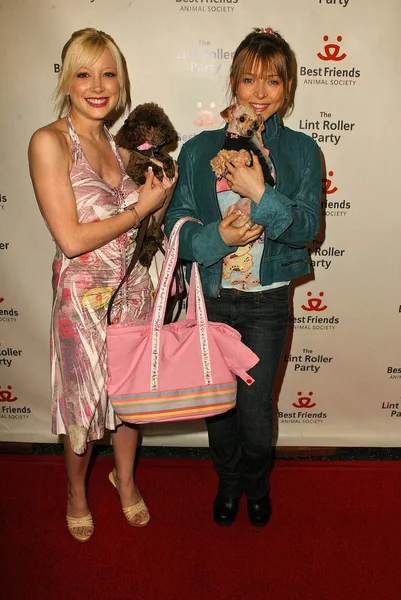 2005 Annual Lint Roller Party — Stock Photo, Image