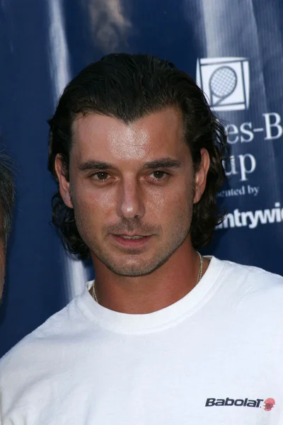 Gavin Rossdale — Foto Stock