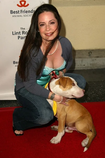 2005 yıllık tüysüz paten partisi