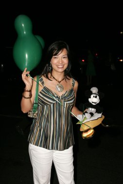 Disneyland 50 koleksiyonu