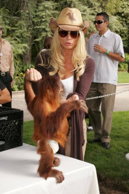 11 yıllık yabani hayvanlar ve bitkiler waystation safari brunch yarar