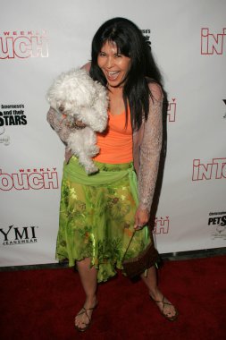 Evcil hayvanlar ve onların yıldız bağlantıda sunar