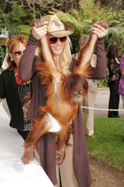 11 yıllık yabani hayvanlar ve bitkiler waystation safari brunch yarar