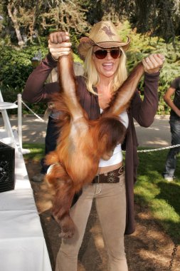 11 yıllık yabani hayvanlar ve bitkiler waystation safari brunch yarar