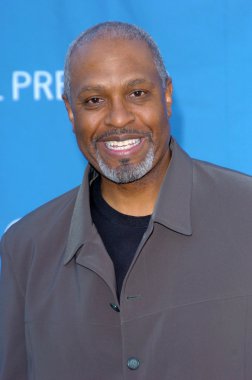 Hollywood bowl açılış gecesi