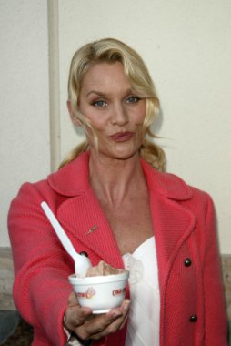 Soğuk taş süthane'nın dondurma pasta sosyal