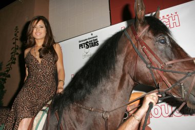 Evcil hayvanlar ve onların yıldız bağlantıda sunar