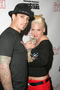 Evcil hayvanlar ve onların yıldız bağlantıda sunar