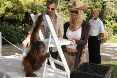 11 yıllık yabani hayvanlar ve bitkiler waystation safari brunch yarar