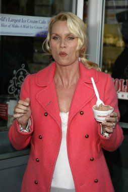 Soğuk taş süthane'nın dondurma pasta sosyal