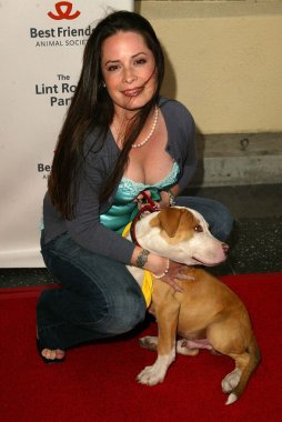 2005 yıllık tüysüz paten partisi