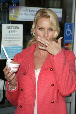 Soğuk taş süthane'nın dondurma pasta sosyal