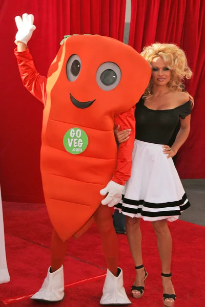 Pamela Anderson — Stock Photo, Image