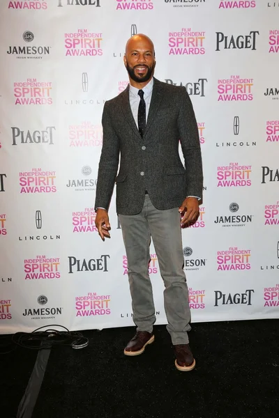 Common at the 2013 Film Independent Spirit Awards Nominations, W Hotel, Hollywood, CA 11-27-12 — Stock Photo, Image