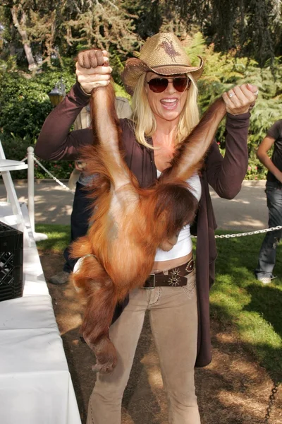 11 yıllık yabani hayvanlar ve bitkiler waystation safari brunch yarar