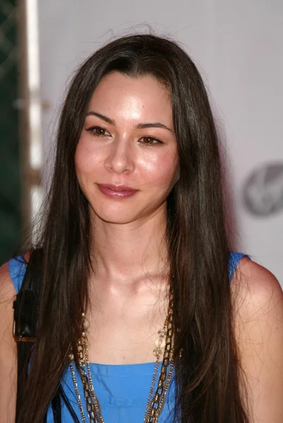 China Chow — Stockfoto