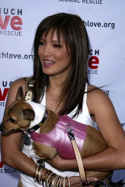 Much Love Animal Rescue 's 4th Annual Celebrity Comedy Benefit — стоковое фото