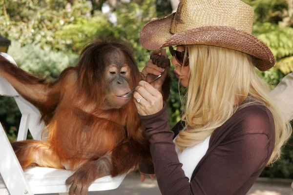 11th Annual Wildlife Waystation Safari Brunch Benefit — Stock Photo, Image