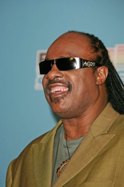 Stevie Wonder