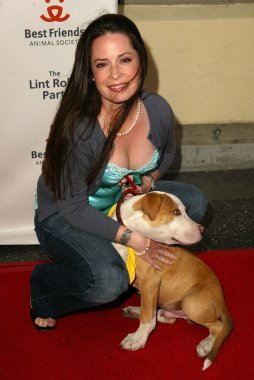 2005 yıllık tüysüz paten partisi