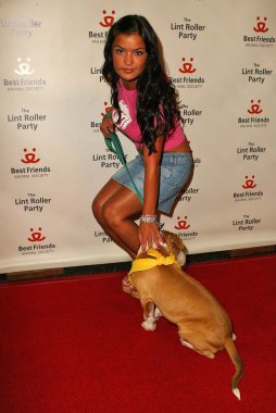 2005 yıllık tüysüz paten partisi