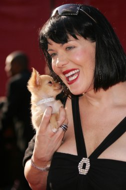 13 yıllık espy Ödülleri - geliş