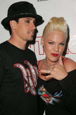 Evcil hayvanlar ve onların yıldız bağlantıda sunar