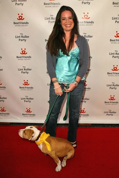 2005 yıllık tüysüz paten partisi