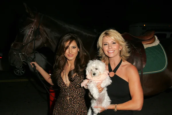 Kerri Kasem arrive à la fête In Touch Pets and their Stars — Photo